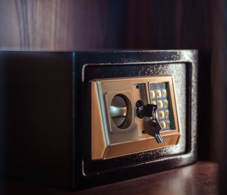 Home Safes in Denham Springs